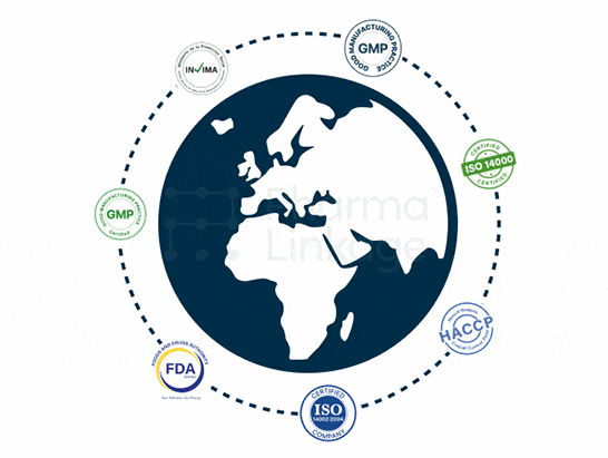 CDMO Services